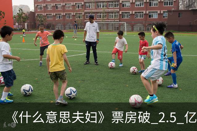 《什么意思夫妇》票房破 2.5 亿，路演不见赵家班！小沈阳撕掉徒弟标签，靠作品翻身！