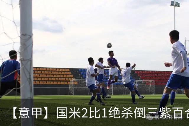 【意甲】国米2比1绝杀倒三紫百合，图拉姆绝平+造点