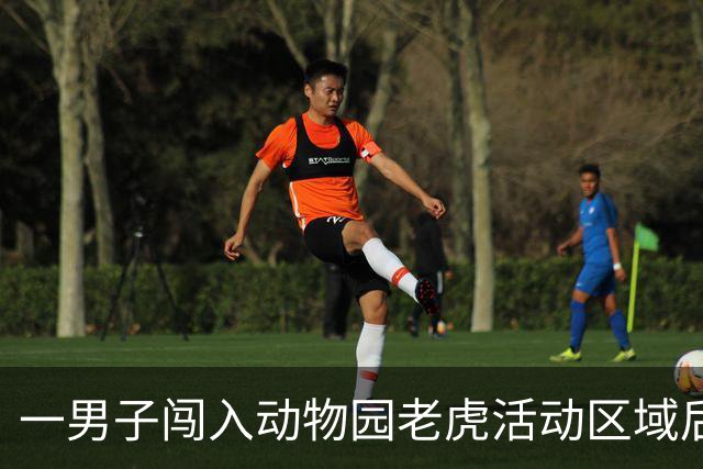 一男子闯入动物园老虎活动区域后遇袭身亡，园方：涉事东北虎目前“安全健康，不会被实施安乐死”
