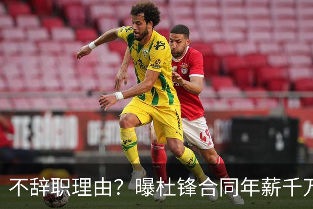 不辞职理由？曝杜锋合同年薪千万，担任男篮主帅，郭士强1年收入多少？