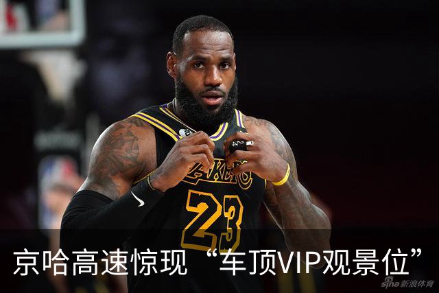 京哈高速惊现“车顶VIP观景位”，两只狗狗兜风过国庆排面拉满！