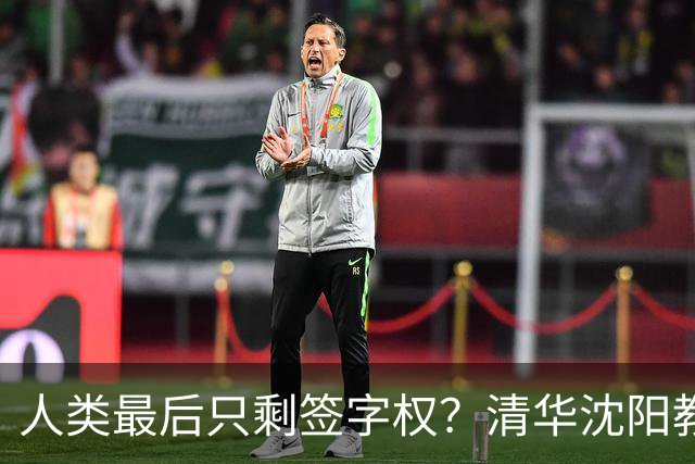 人类最后只剩签字权？清华沈阳教授谈AI终局