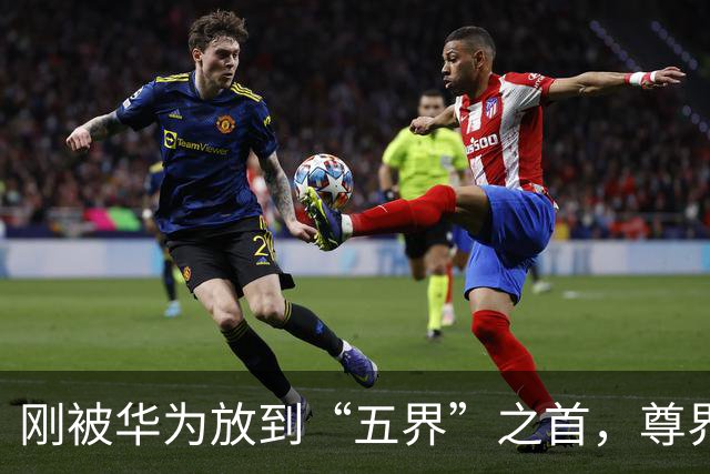 刚被华为放到“五界”之首，尊界就出问题了