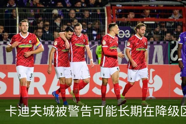 卡迪夫城被警告可能长期在降级区边缘徘徊，数据却显示他们不该这么低