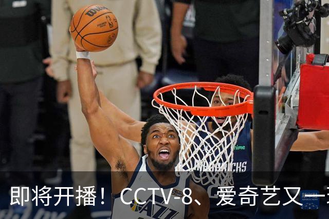 即将开播！CCTV-8、爱奇艺又一现实疗愈大剧来袭，阵容绝了，要火
