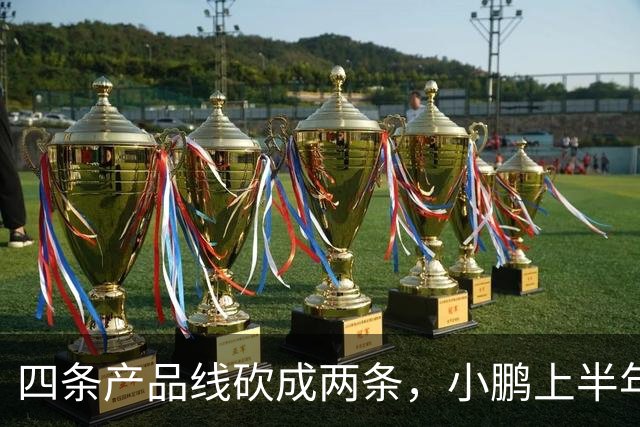 四条产品线砍成两条，小鹏上半年亏损扩大173%