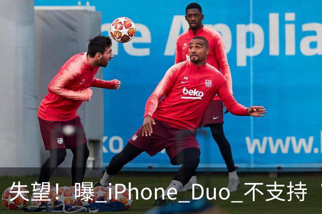 失望！曝 iPhone Duo 不支持“双开微信”和“平板微信”