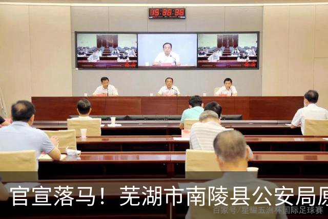 官宣落马！芜湖市南陵县公安局原党委委员叶辉简历