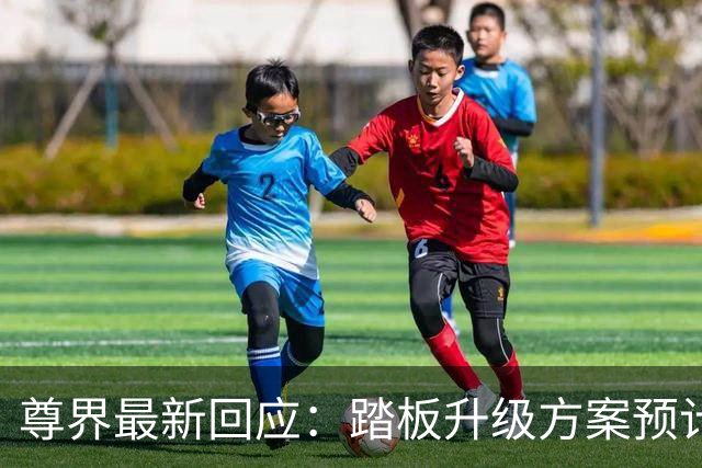 尊界最新回应：踏板升级方案预计于10月底确认，11月起启动升级；已提车的用户可通过服务中心或购车门店登记，未发运车辆在升级后交付