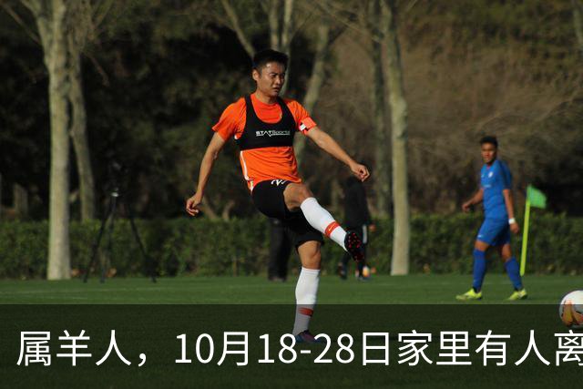 属羊人，10月18-28日家里有人离开，别哭！是老天帮你清除负担