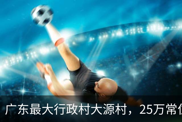 广东最大行政村大源村，25万常住人口，一座村子就是一座小城