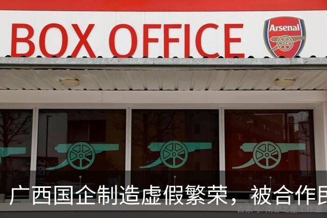 广西国企制造虚假繁荣，被合作民企当成提款机