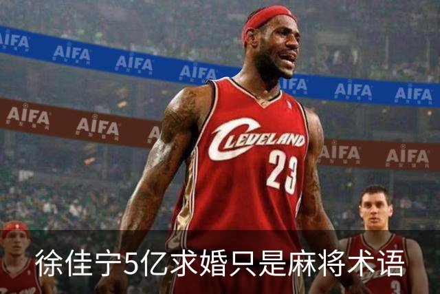 徐佳宁5亿求婚只是麻将术语