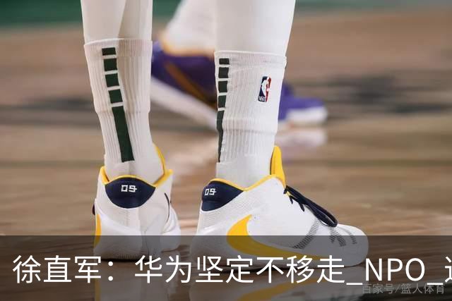 徐直军：华为坚定不移走 NPO 道路