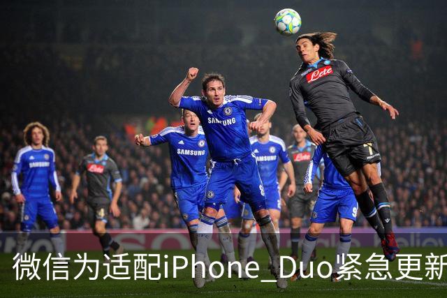 微信为适配iPhone Duo紧急更新 网友晒图直言有黑边不完美