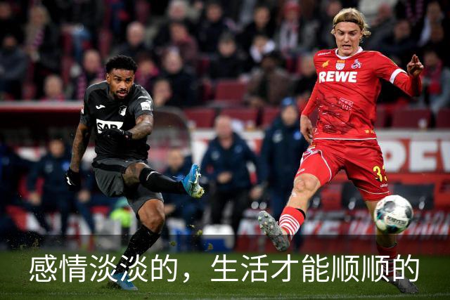 感情淡淡的，生活才能顺顺的