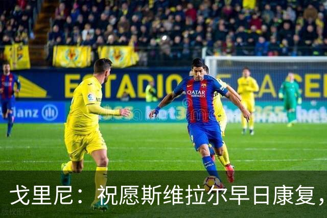 戈里尼：祝愿斯维拉尔早日康复，他前几天说让我好好享受比赛