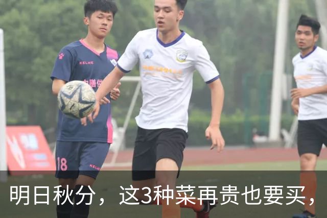 明日秋分，这3种菜再贵也要买，隔天吃一次，润燥清肺，强免疫！