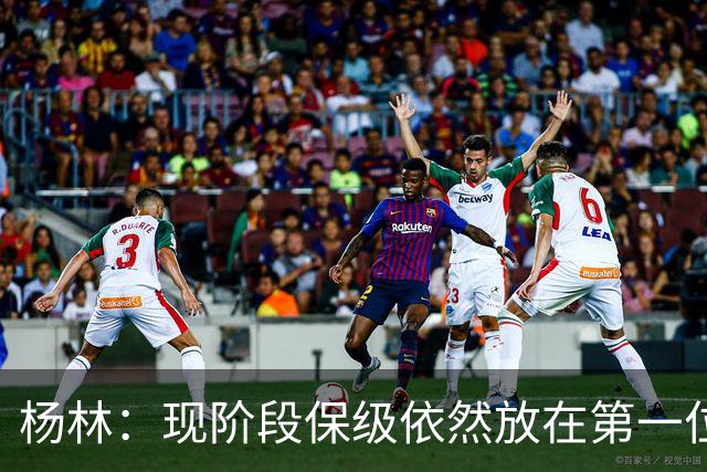 杨林：现阶段保级依然放在第一位，我们准备好迎接与亚泰的比赛