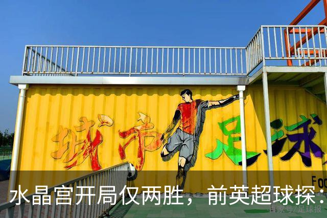 水晶宫开局仅两胜，前英超球探：主席喜欢麦肯纳
