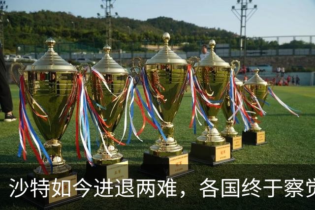 沙特如今进退两难，各国终于察觉到不对劲：中国最开始的选择没错