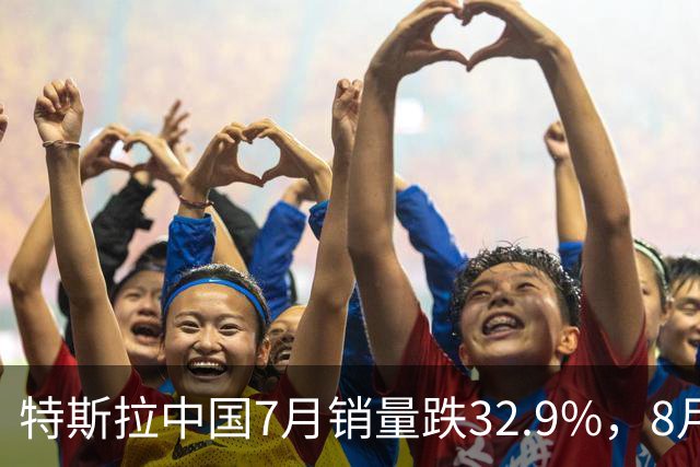 特斯拉中国7月销量跌32.9%，8月再降12.4%，为何卖不动了？