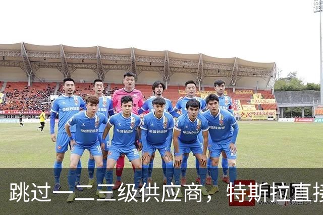 跳过一二三级供应商，特斯拉直接杀到第四级砍价