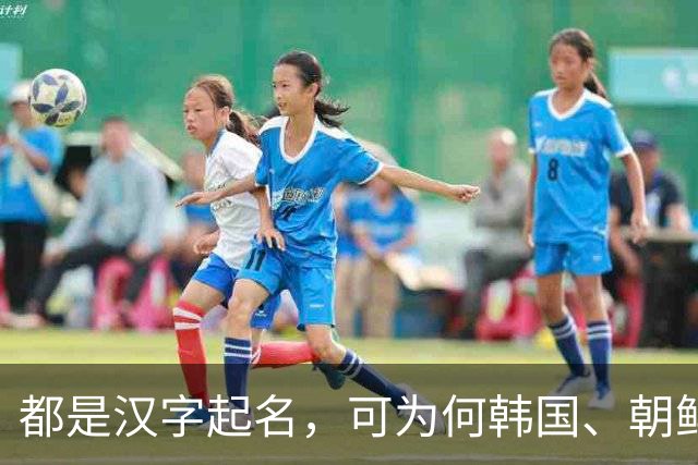 都是汉字起名，可为何韩国、朝鲜、越南人名，一看就不是中国人？