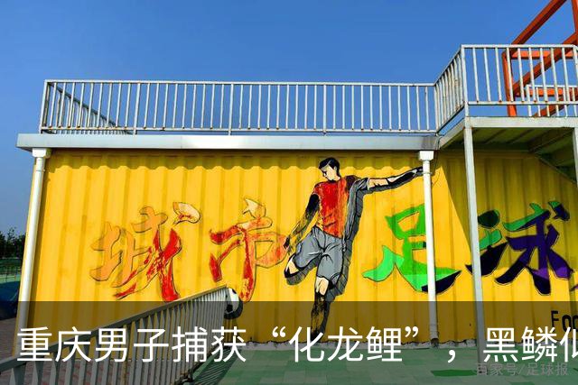 重庆男子捕获“化龙鲤”，黑鳞似龙甲，鱼鳍飘逸，网友：牢底坐穿鱼！