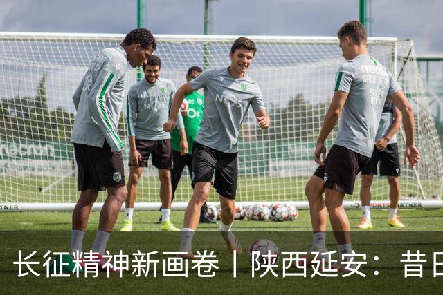 长征精神新画卷丨陕西延安：昔日黄土沟 今朝幸福城