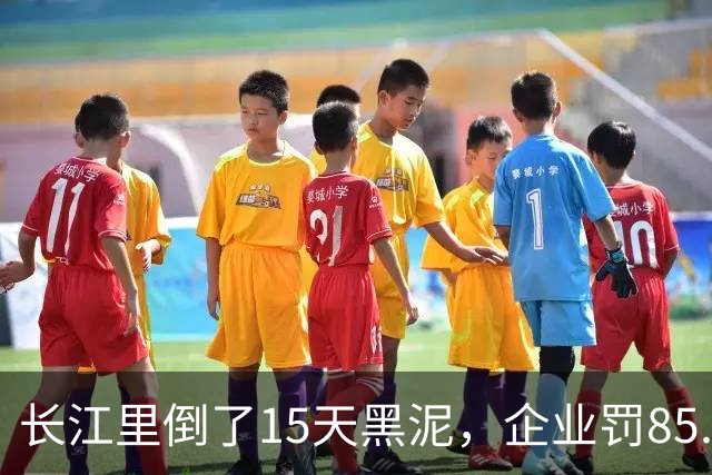 长江里倒了15天黑泥，企业罚85.7万：这笔账，网友越算越不明白