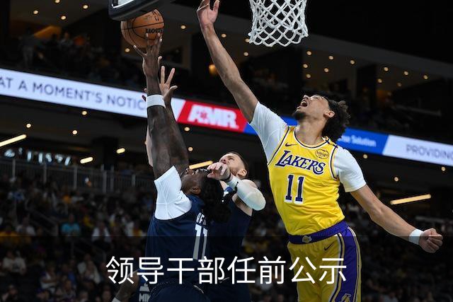 领导干部任前公示