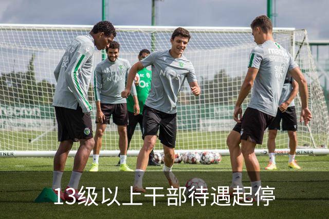 13级以上干部待遇起停